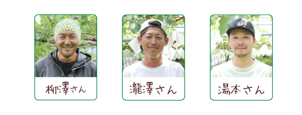 朝採り葡萄 種なし巨峰 連携農家
