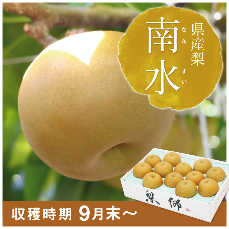 南水
