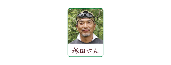 長野県産梨 南水(なんすい) 連携農家