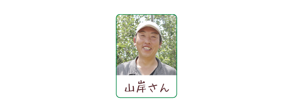 長野県産梨 秋月(あきづき) 連携農家