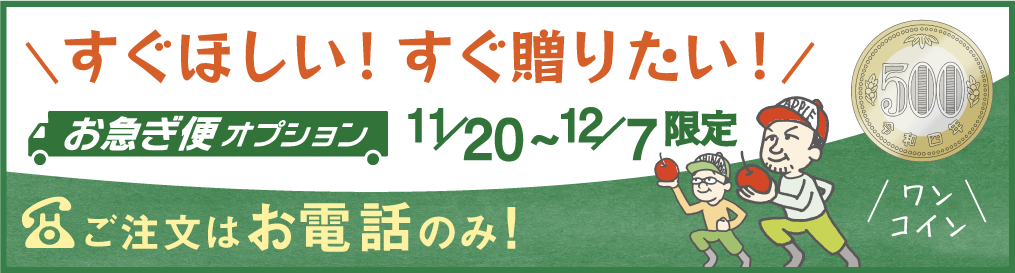 お急ぎ便オプション