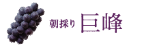 巨峰
