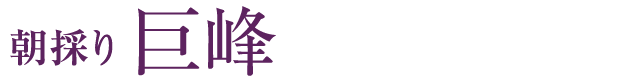 巨峰