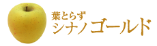 シナノゴールド